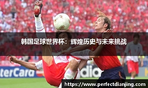 韩国足球世界杯：辉煌历史与未来挑战