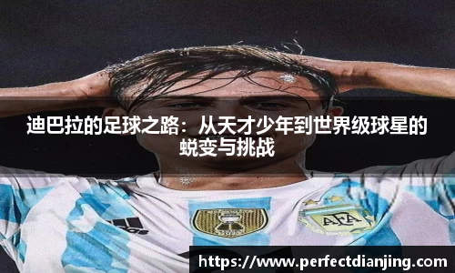 完美电竞平台